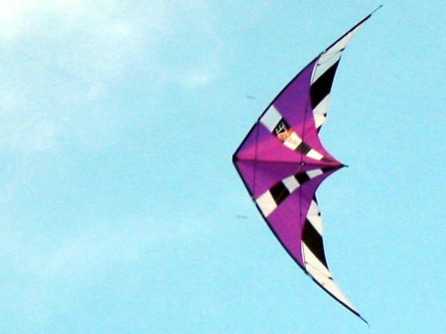 Bild 17 von 22  -  151 kB